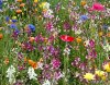 unique memorial gifts wildflowers